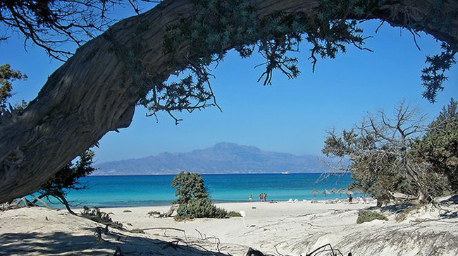 enallaktika.gr