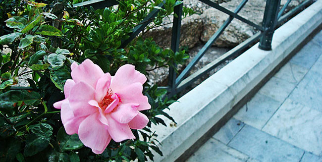 enallaktika.gr