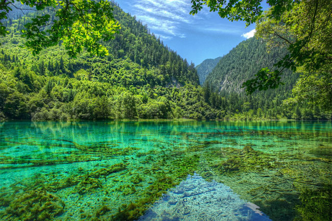 enallaktika.gr