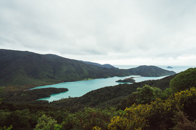enallaktika.gr