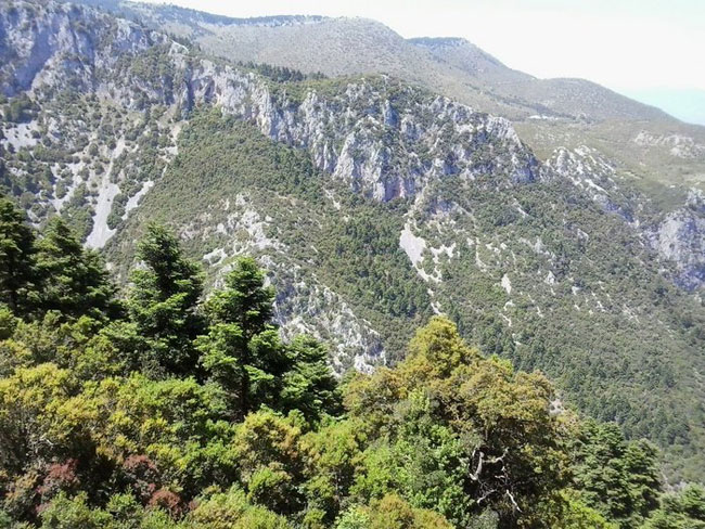 enallaktika.gr