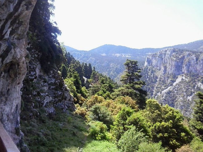 enallaktika.gr
