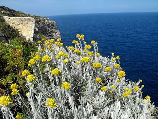 enallaktika.gr