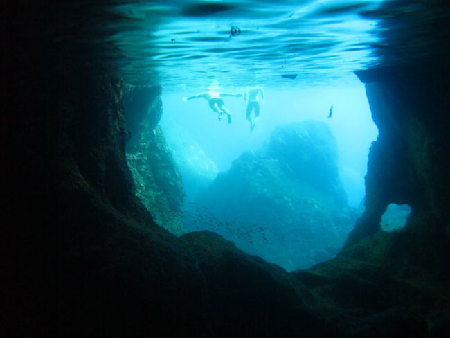 enallaktika.gr