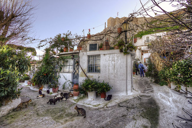 enallaktika.gr