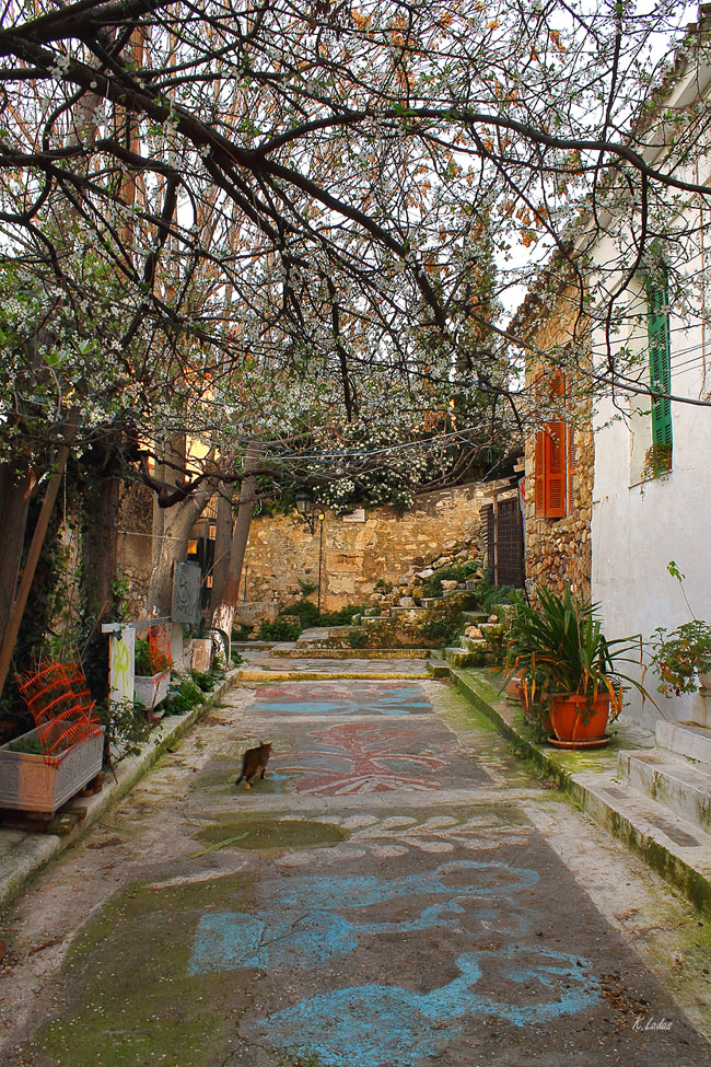 enallaktika.gr