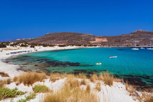 enallaktika.gr