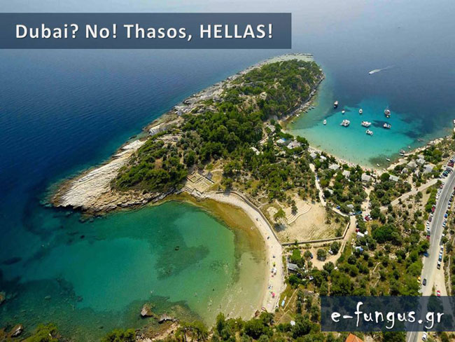 enallaktika.gr