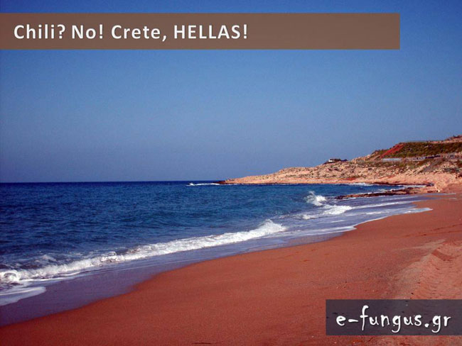 enallaktika.gr