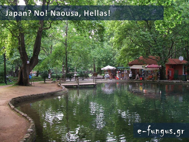 enallaktika.gr