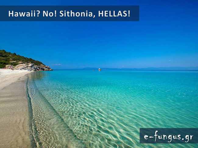 enallaktika.gr