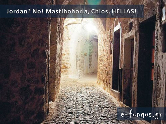 enallaktika.gr