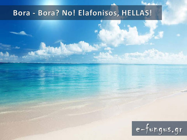 enallaktika.gr
