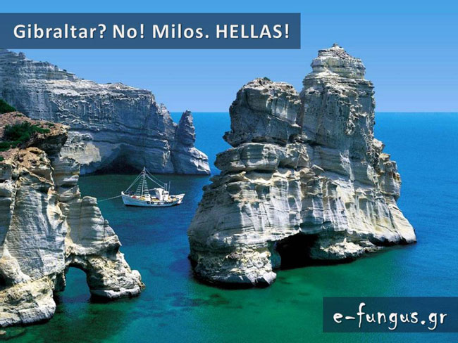 enallaktika.gr