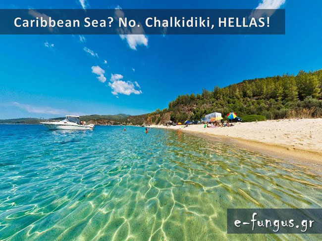 enallaktika.gr