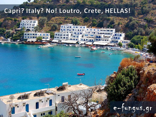 enallaktika.gr