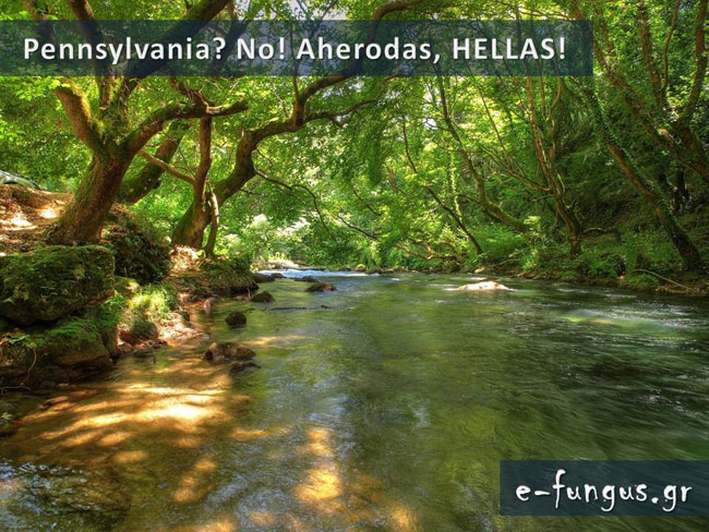 enallaktika.gr