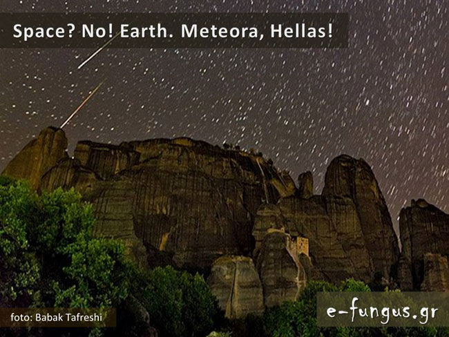 enallaktika.gr