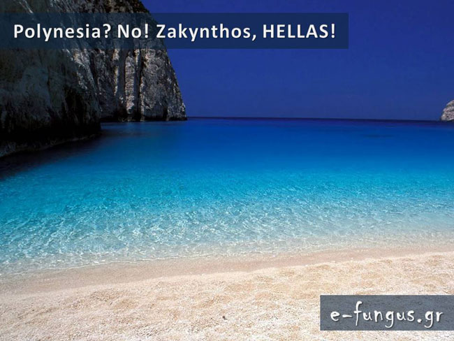enallaktika.gr