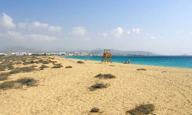 enallaktika.gr