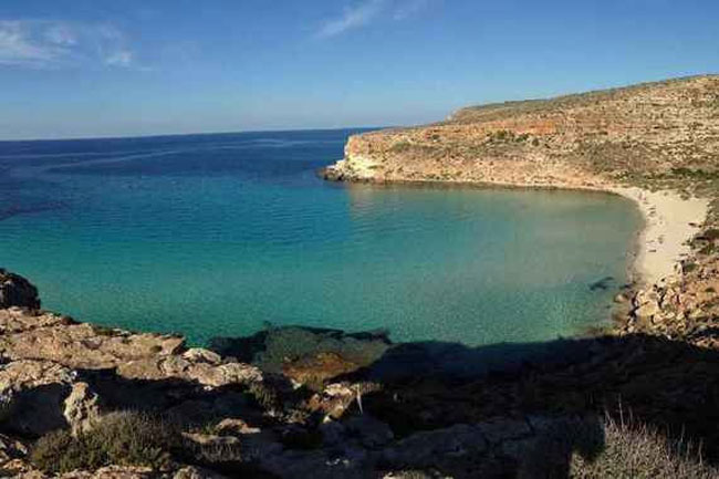 enallaktika.gr
