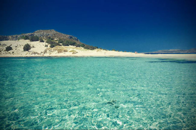 enallaktika.gr