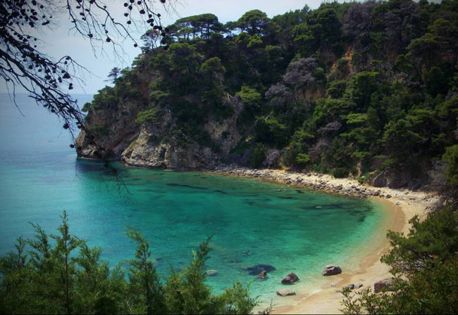 enallaktika.gr
