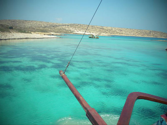 enallaktika.gr