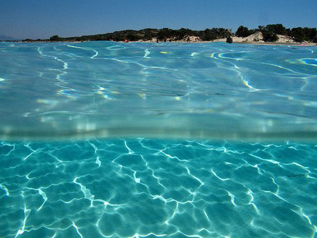enallaktika.gr