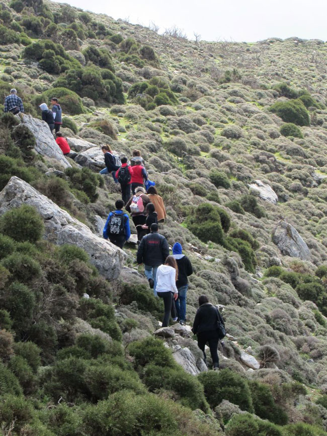 enallaktika.gr