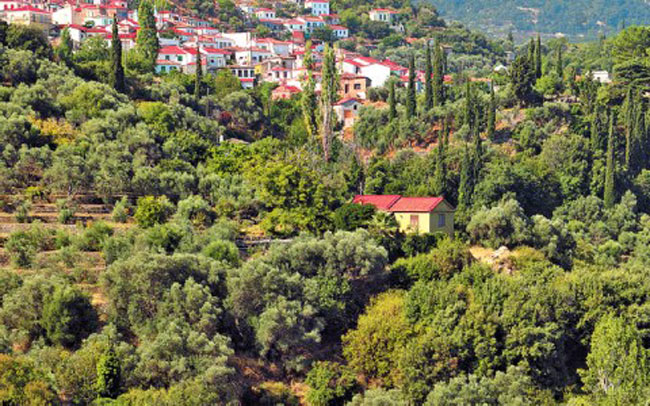enallaktika.gr