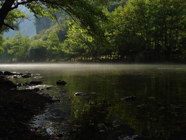 enallaktika.gr