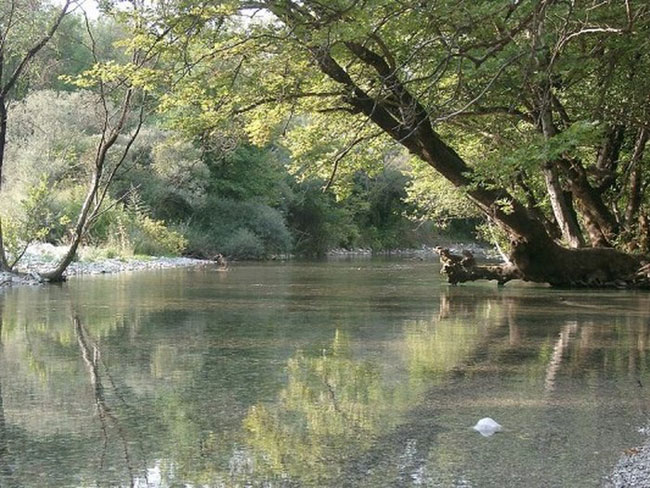 enallaktika.gr