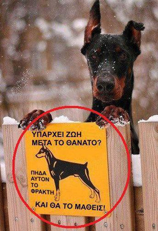 enallaktika.gr