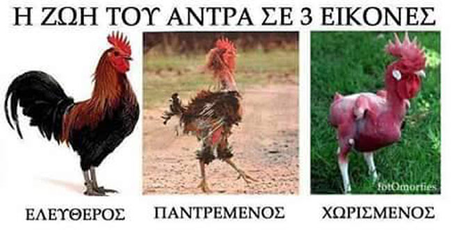 enallaktika.gr