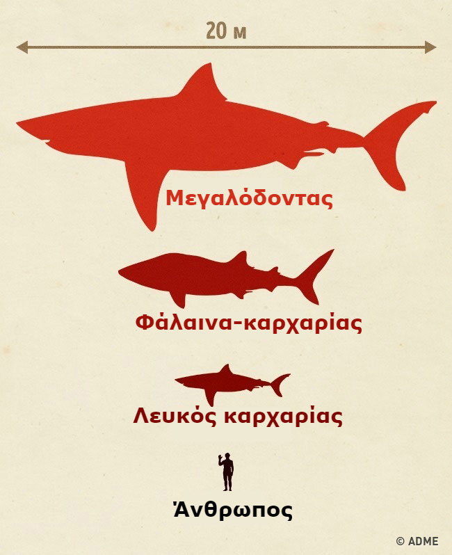 enallaktika.gr