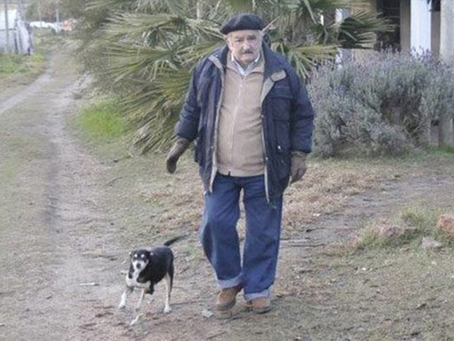 enallaktika.gr