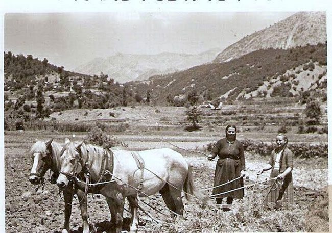 enallaktika.gr