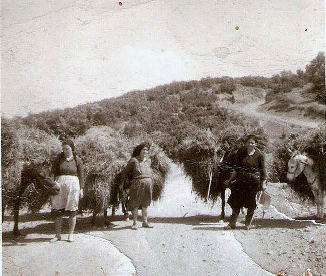 enallaktika.gr
