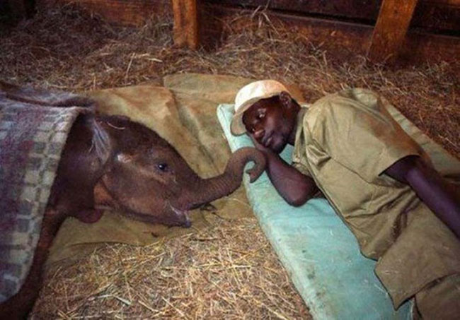 enallaktika.gr