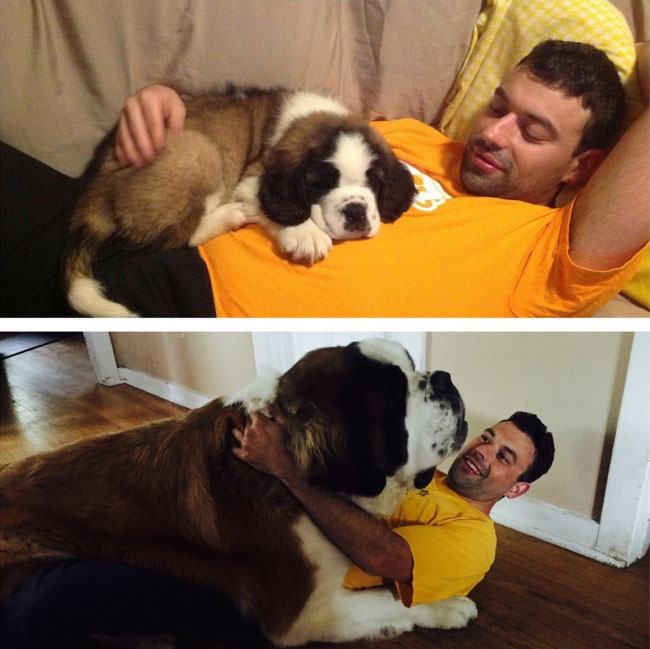 enallaktika.gr