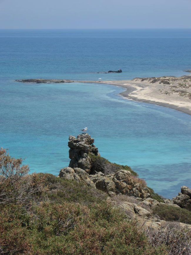 enallaktika.gr