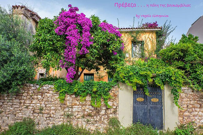 enallaktika.gr