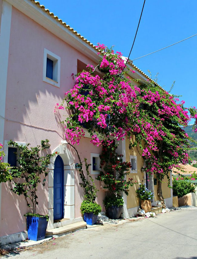 enallaktika.gr