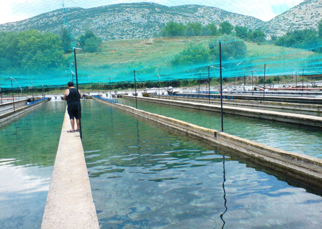 enallaktika.gr