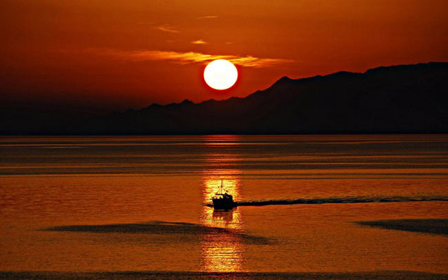 enallaktika.gr