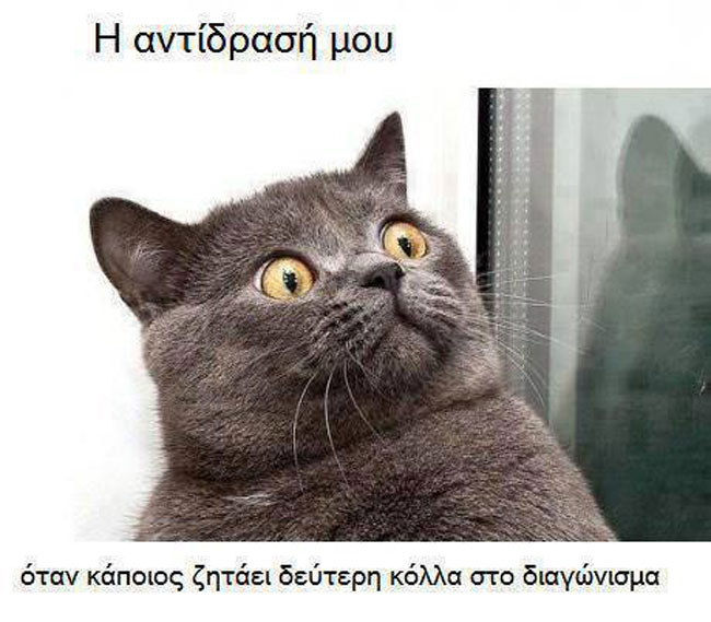 enallaktika.gr