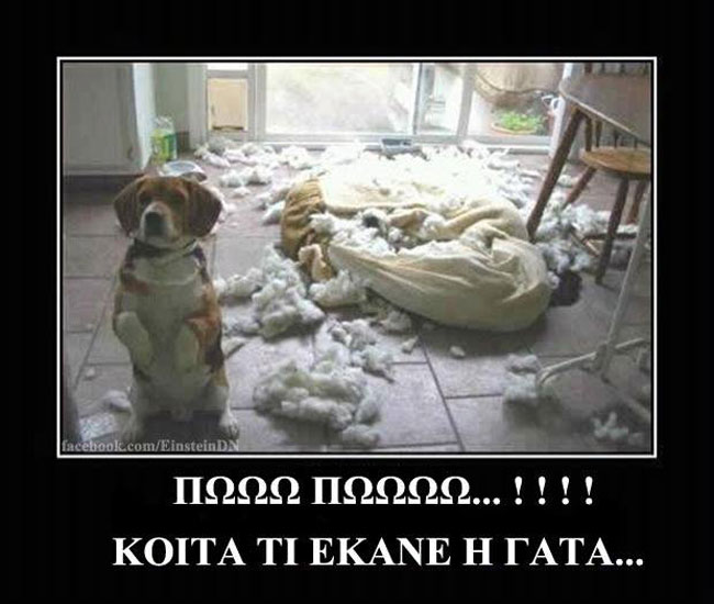 enallaktika.gr