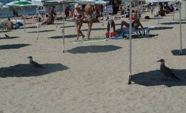 enallaktika.gr