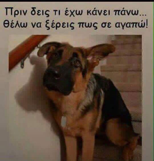 enallaktika.gr